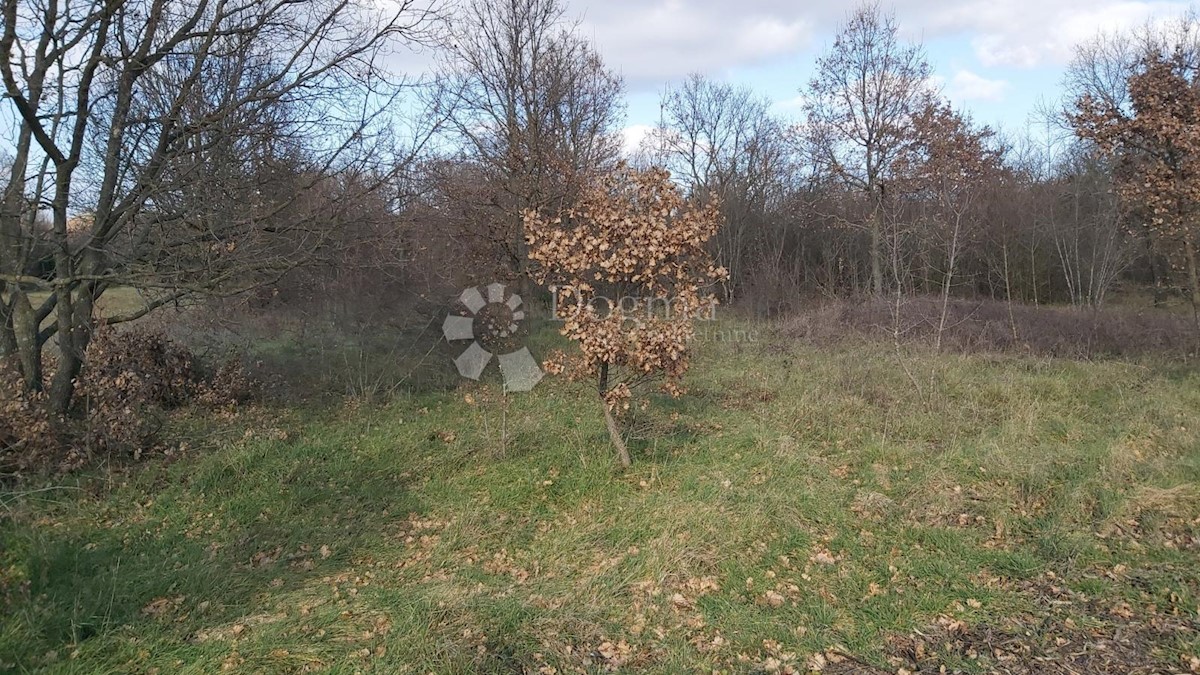 Pozemok Na predaj - ISTARSKA LIŽNJAN