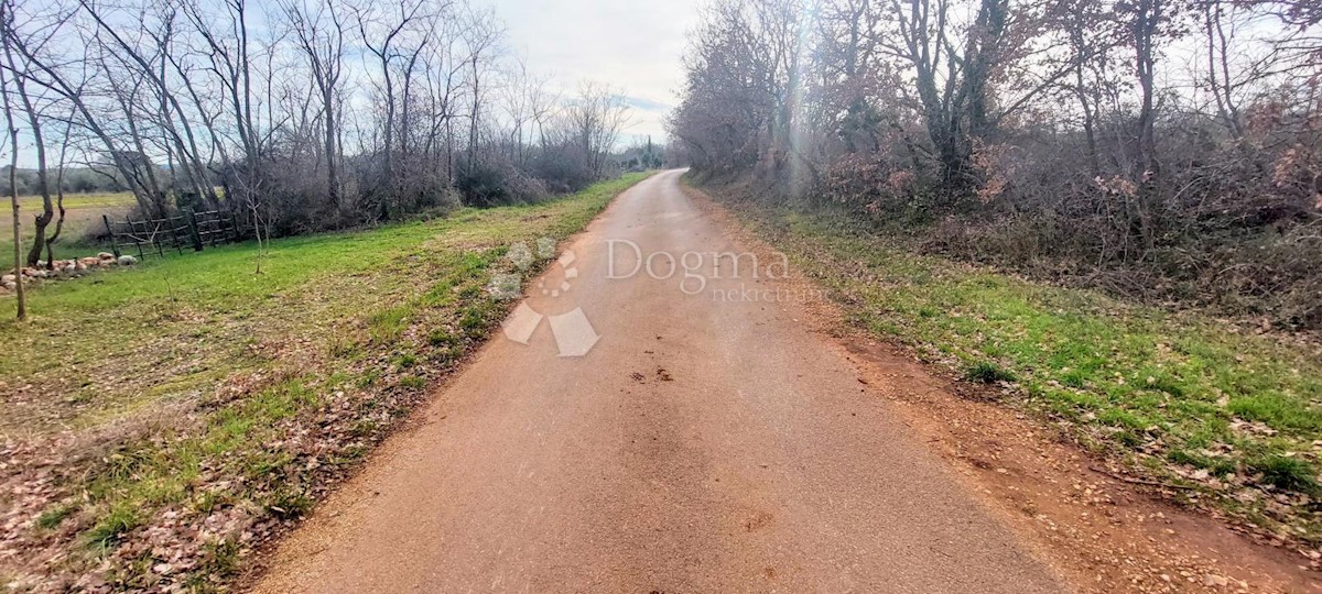 Pozemok Na predaj - ISTARSKA Marčana