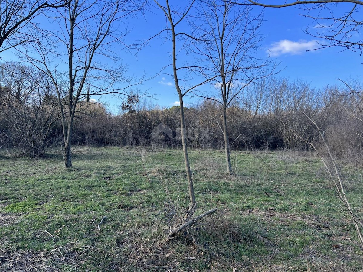 Terreno In vendita - ISTARSKA BARBAN