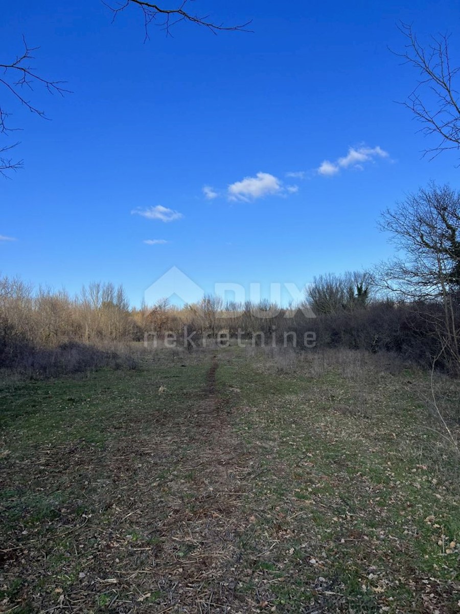 Terreno In vendita - ISTARSKA BARBAN