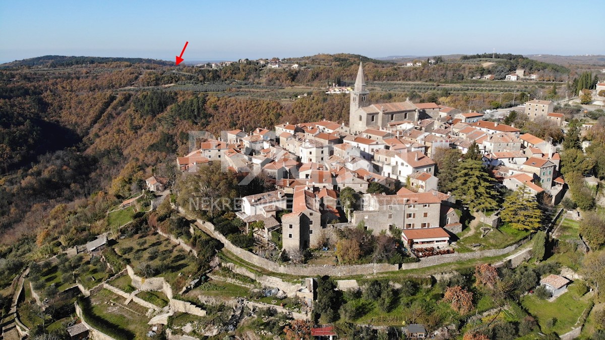 House For sale - ISTARSKA GROŽNJAN