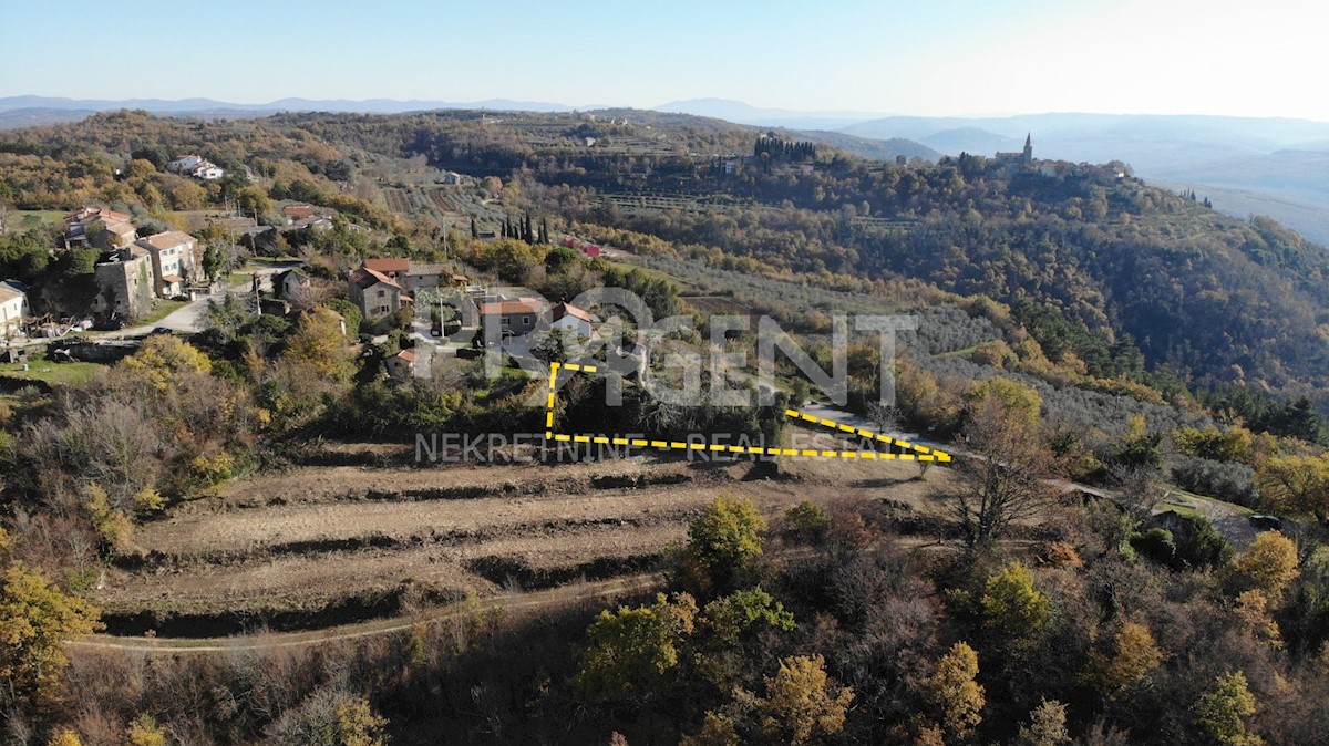 House For sale - ISTARSKA GROŽNJAN