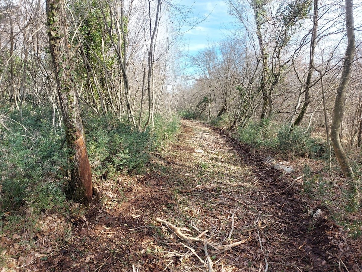 Terreno In vendita - ISTARSKA TAR-VABRIGA