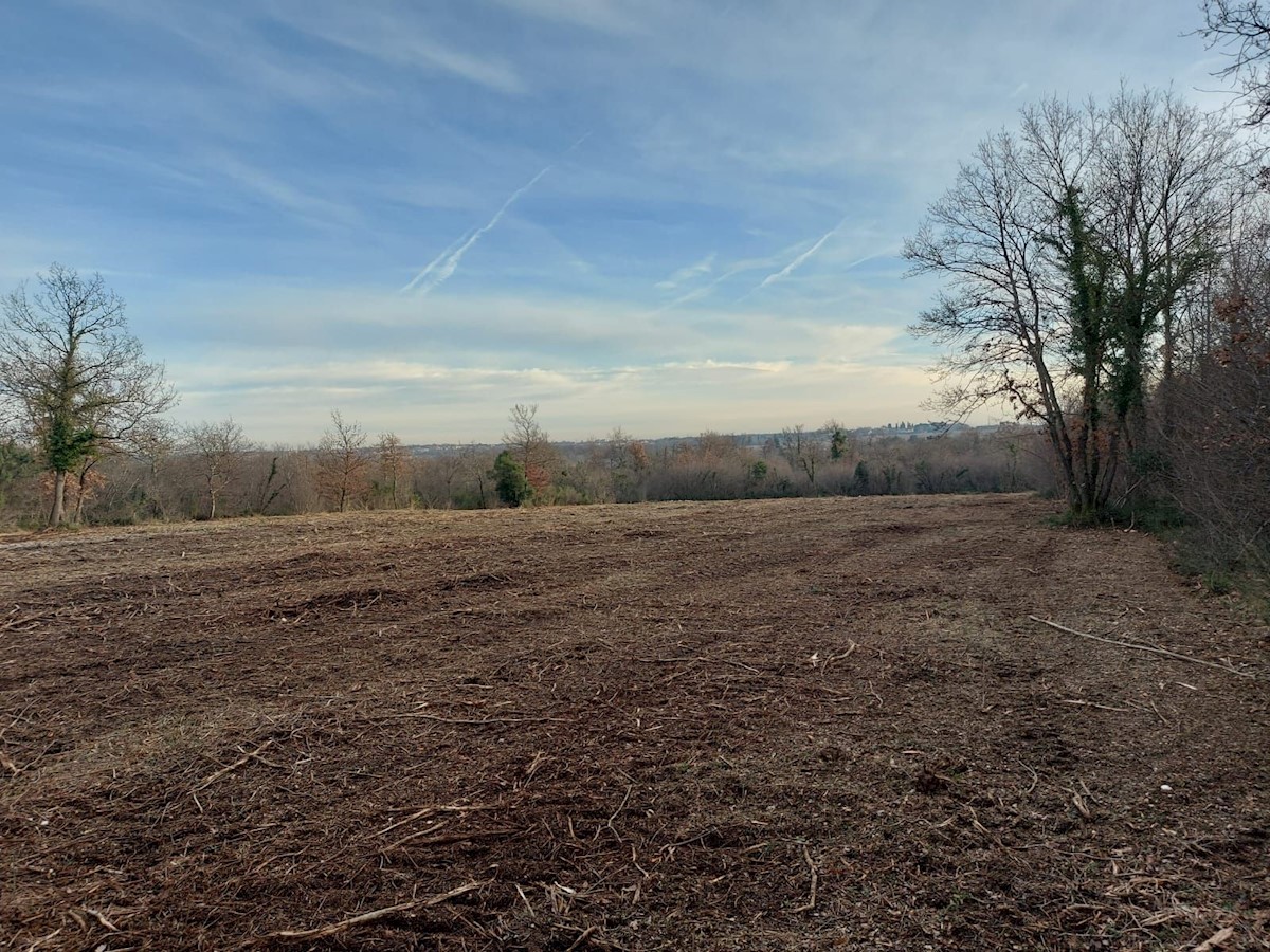 Terreno In vendita - ISTARSKA TAR-VABRIGA