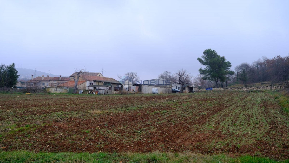 Zemljište Na prodaju - ISTARSKA BALE