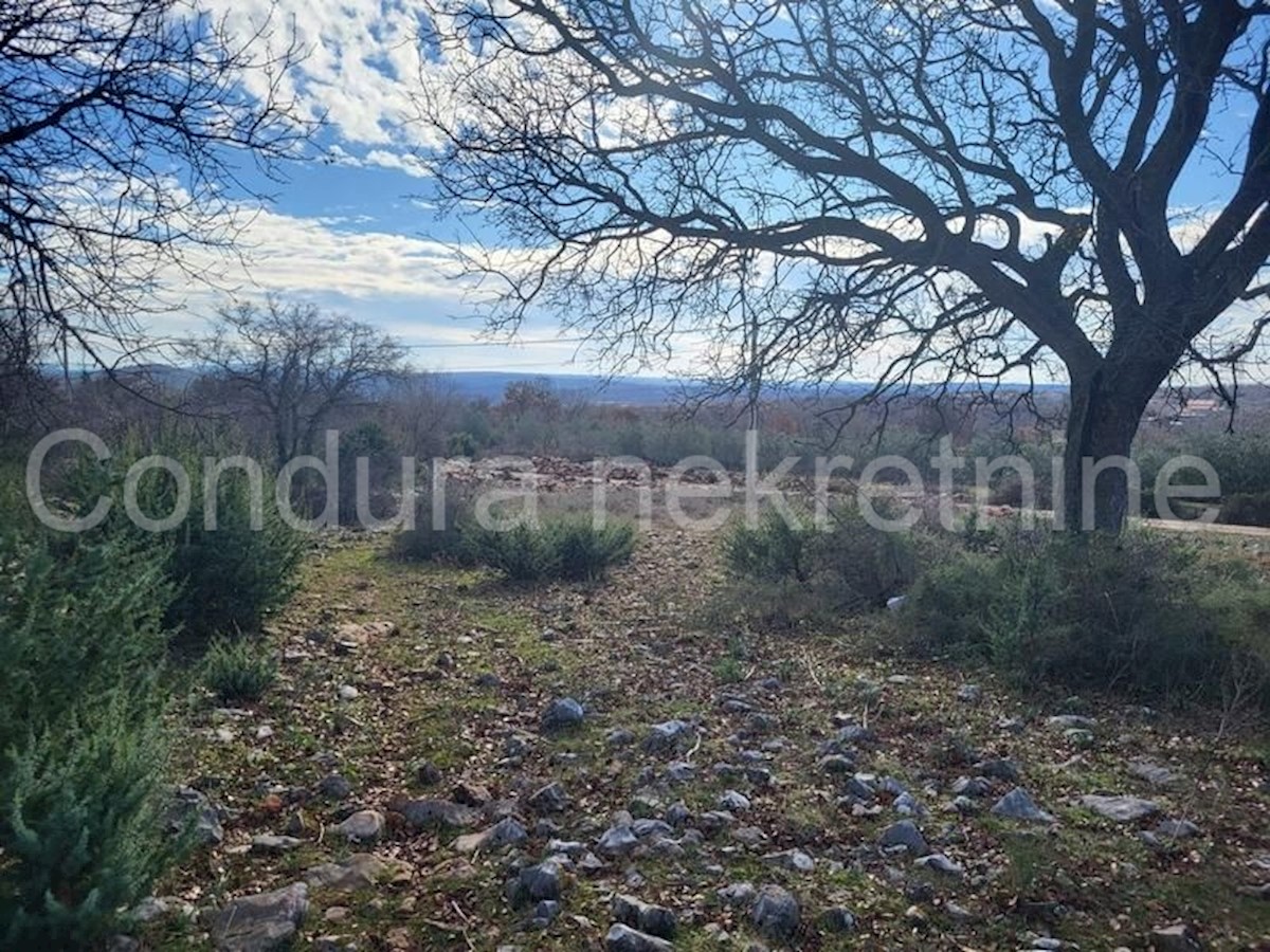 Terreno In vendita - ZADARSKA POSEDARJE