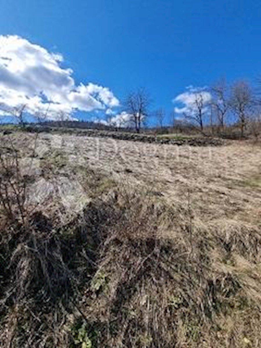 Zemljište Na prodaju - PRIMORSKO-GORANSKA VRBOVSKO