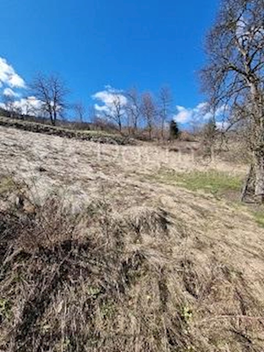 Land For sale - PRIMORSKO-GORANSKA VRBOVSKO