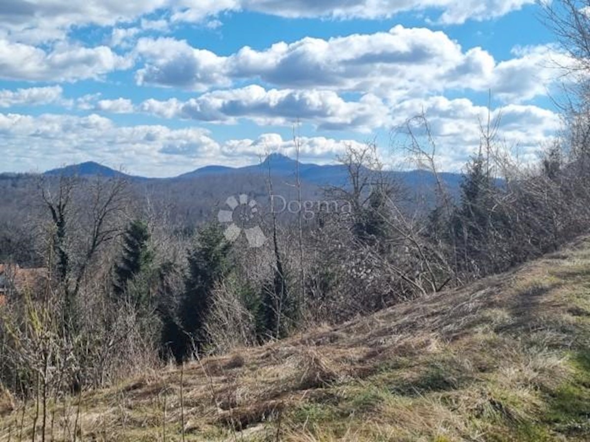 Terreno In vendita - PRIMORSKO-GORANSKA VRBOVSKO