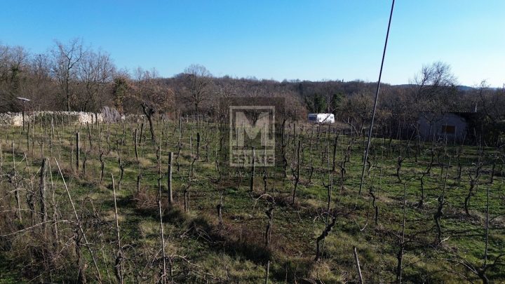Terreno In vendita - Istarska Poreč - foto 2/2
