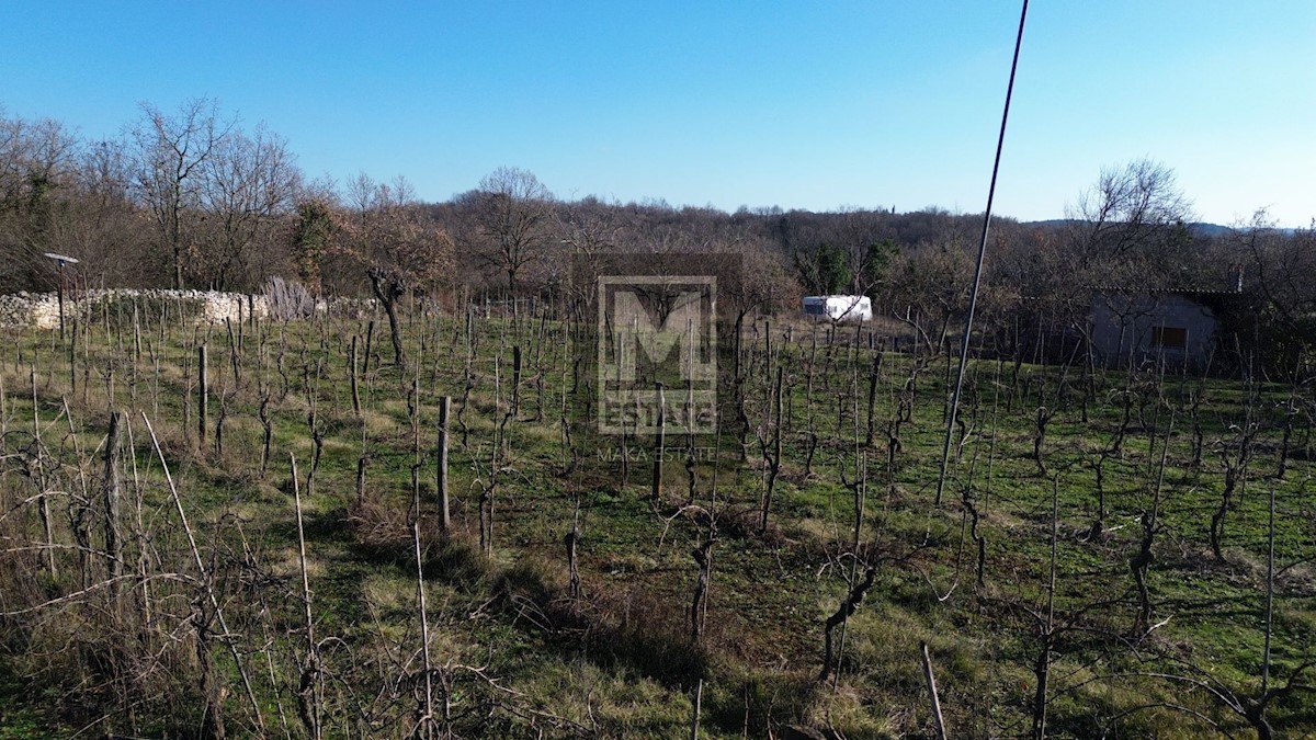 Terrain À vendre - ISTARSKA POREČ