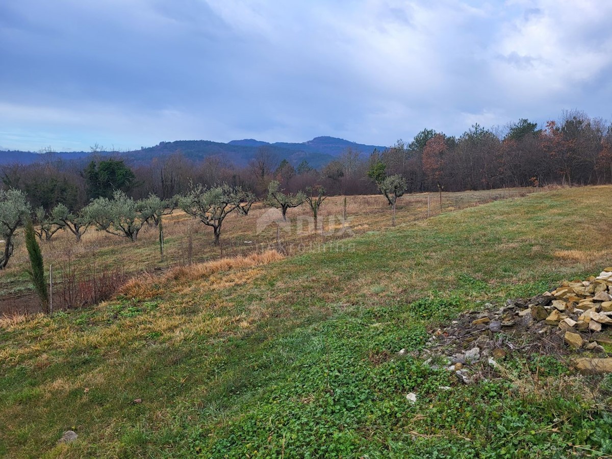 Terreno In vendita - ISTARSKA LUPOGLAV