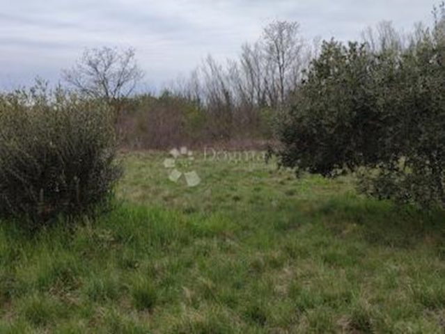 Land for sale 8242 m² – Murine