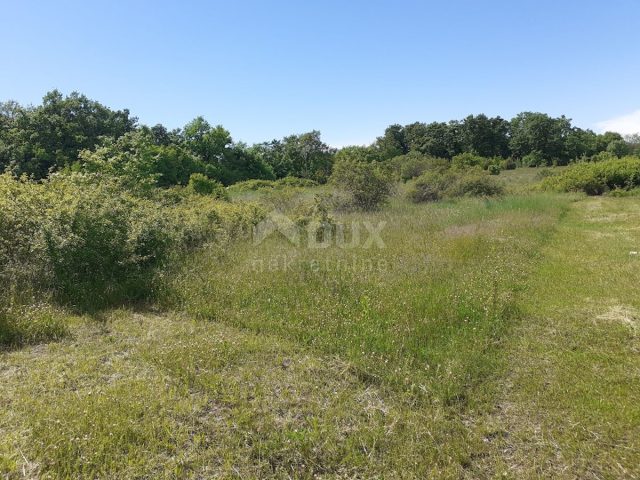 Parcela Naprodaj - Istarska Svetvinčenat - foto 3/3