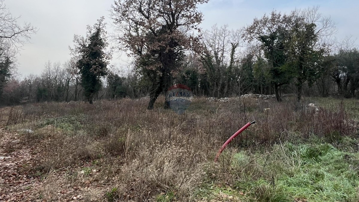 Zemljište Na prodaju - ISTARSKA SVETI LOVREČ