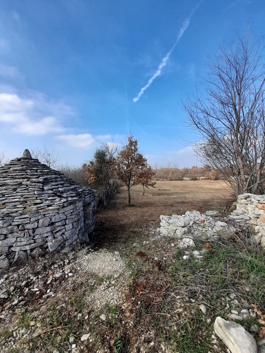 Zemljište Na prodaju - ISTARSKA VODNJAN