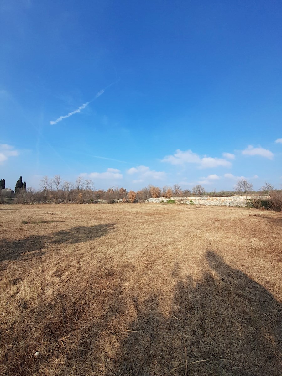Zemljište Na prodaju - ISTARSKA VODNJAN