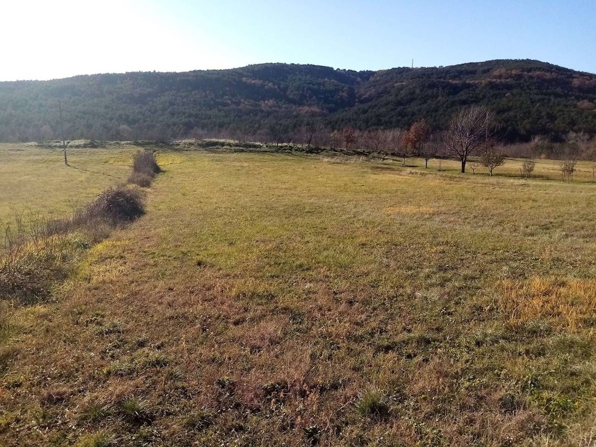 Pozemok Na predaj - ISTARSKA LABIN