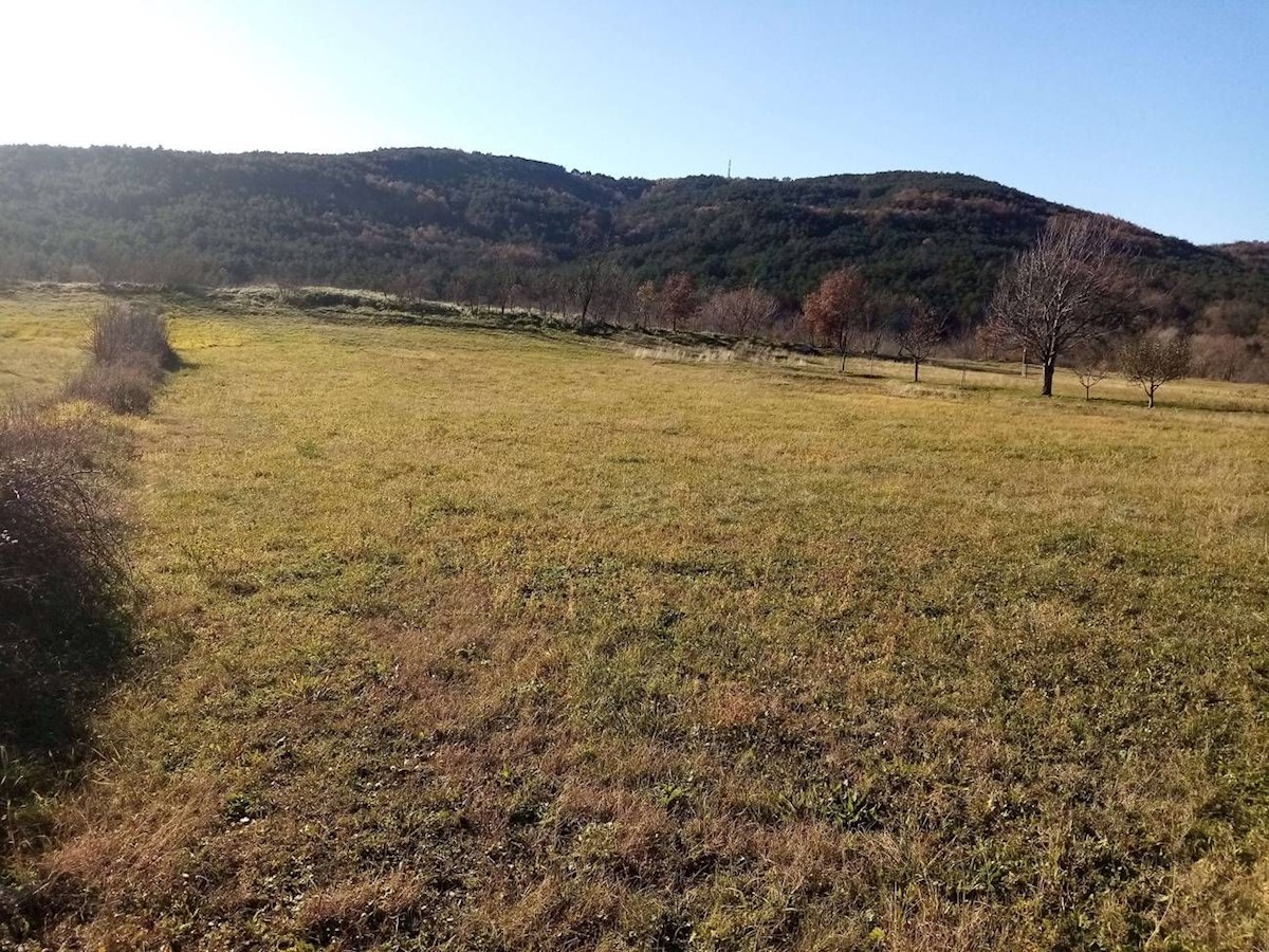 Pozemok Na predaj - ISTARSKA LABIN