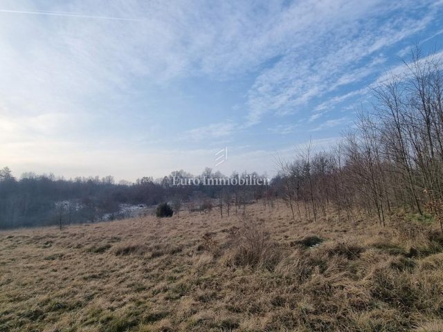 Terrain à vendre 13245 m² – Višnjan