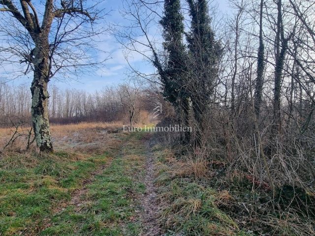 Pozemek Na prodej - Istarska Višnjan - foto 3/3
