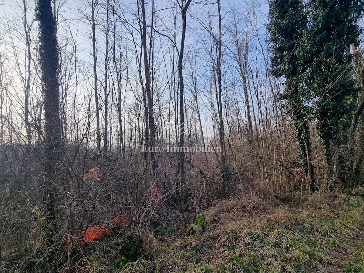 Parcela Naprodaj - ISTARSKA Višnjan