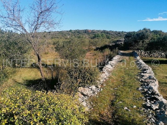 Land for sale 3674 m² – Jadrija