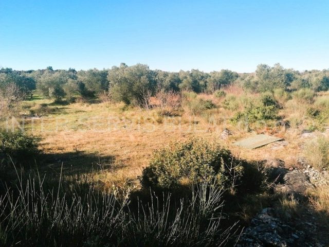Land For sale - šibensko-kninska šibenik - foto 3/6
