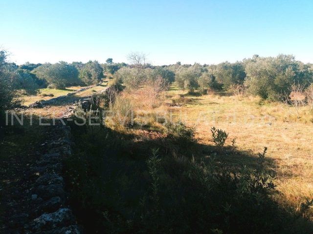 Land For sale - šibensko-kninska šibenik - foto 4/6