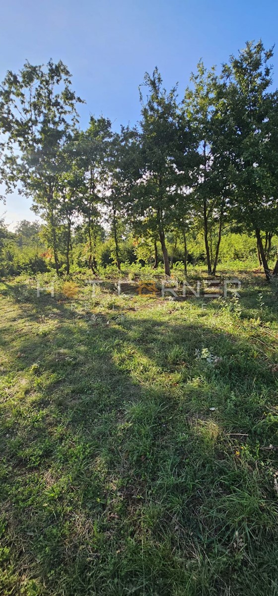 Kuća Na prodaju - ISTARSKA BARBAN