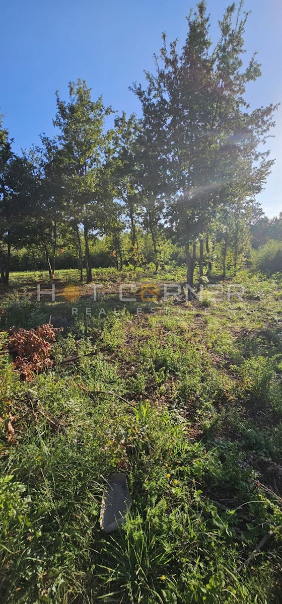 Kuća Na prodaju - ISTARSKA BARBAN