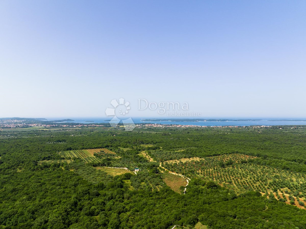 Land For sale - ISTARSKA VODNJAN