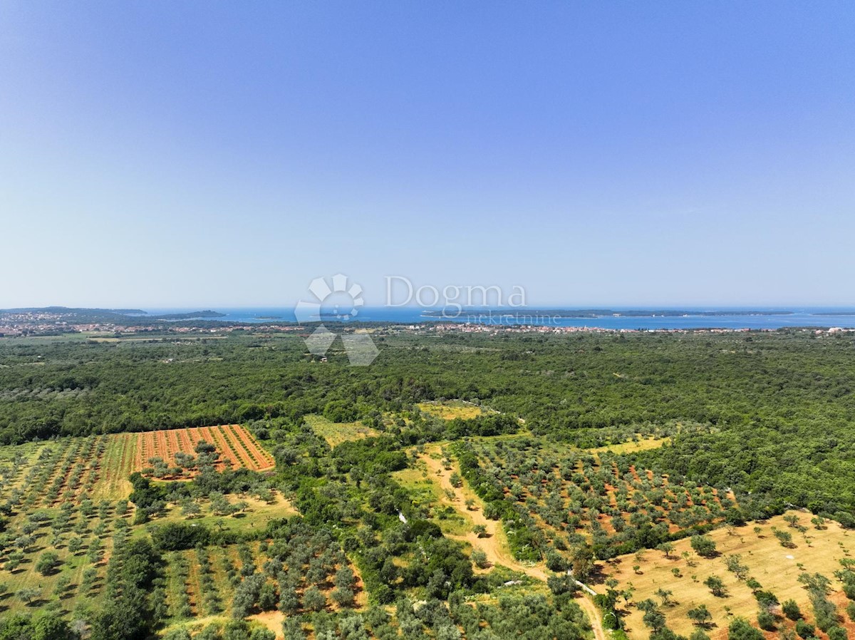 Land For sale - ISTARSKA VODNJAN