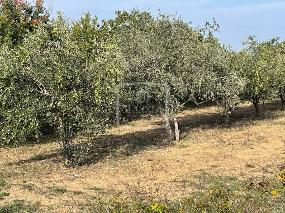 Zemljište Na prodaju - ZADARSKA NOVIGRAD