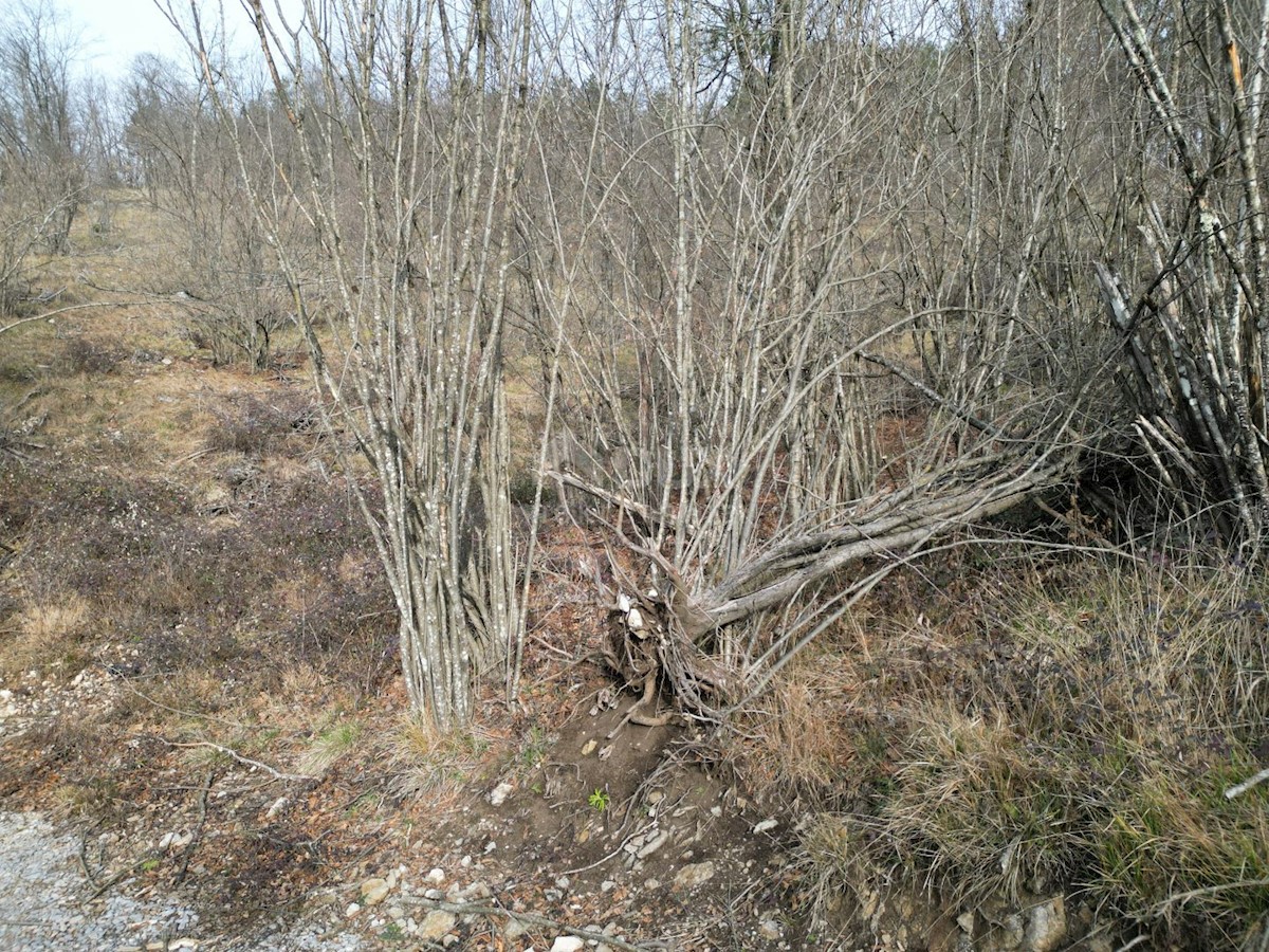 Działka Na sprzedaż - PRIMORSKO-GORANSKA KLANA