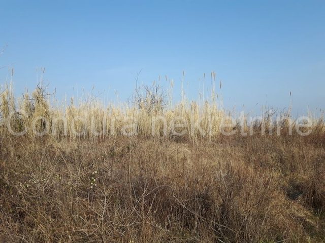 Pozemek Na prodej - Zadarska Privlaka - foto 2/2