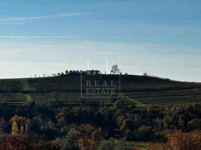 Parcela Naprodaj - Istarska Buje - foto 4/4