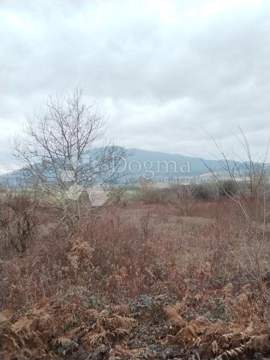 Land For sale CEROVAC VUKMANIĆKI