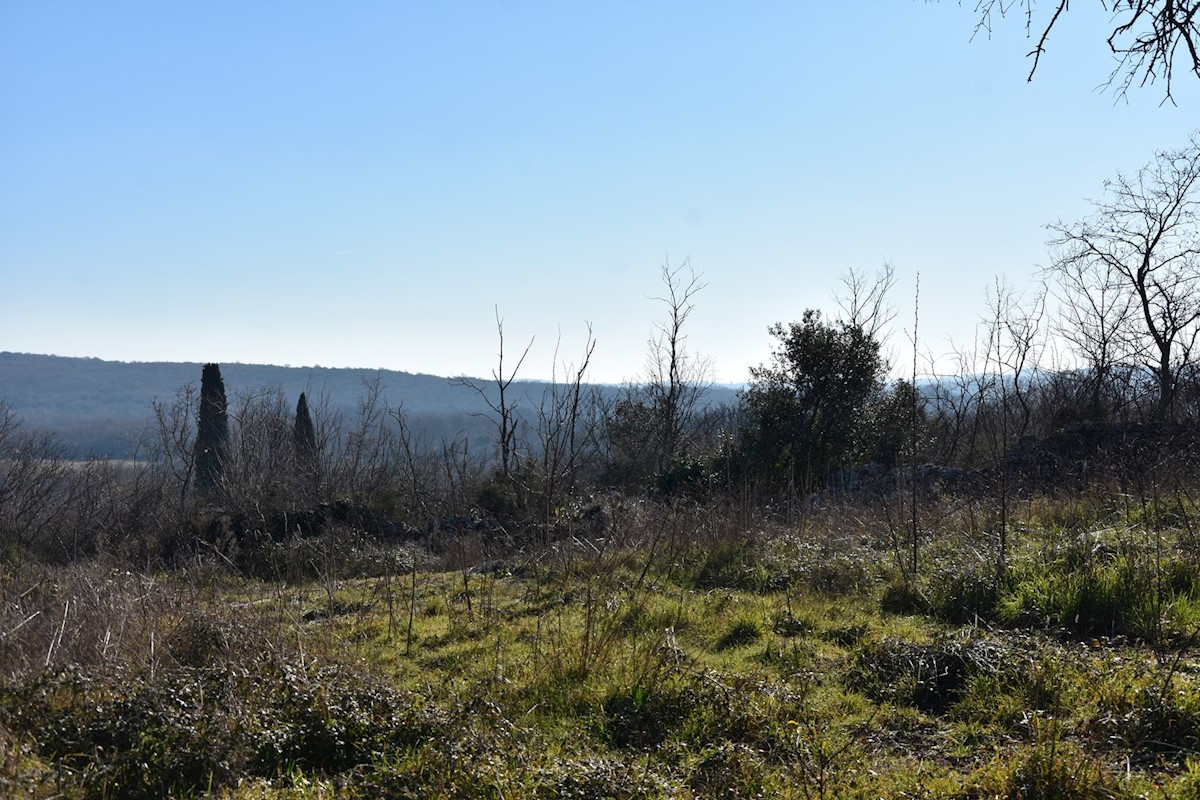 Land For sale - ISTARSKA SVETI LOVREČ