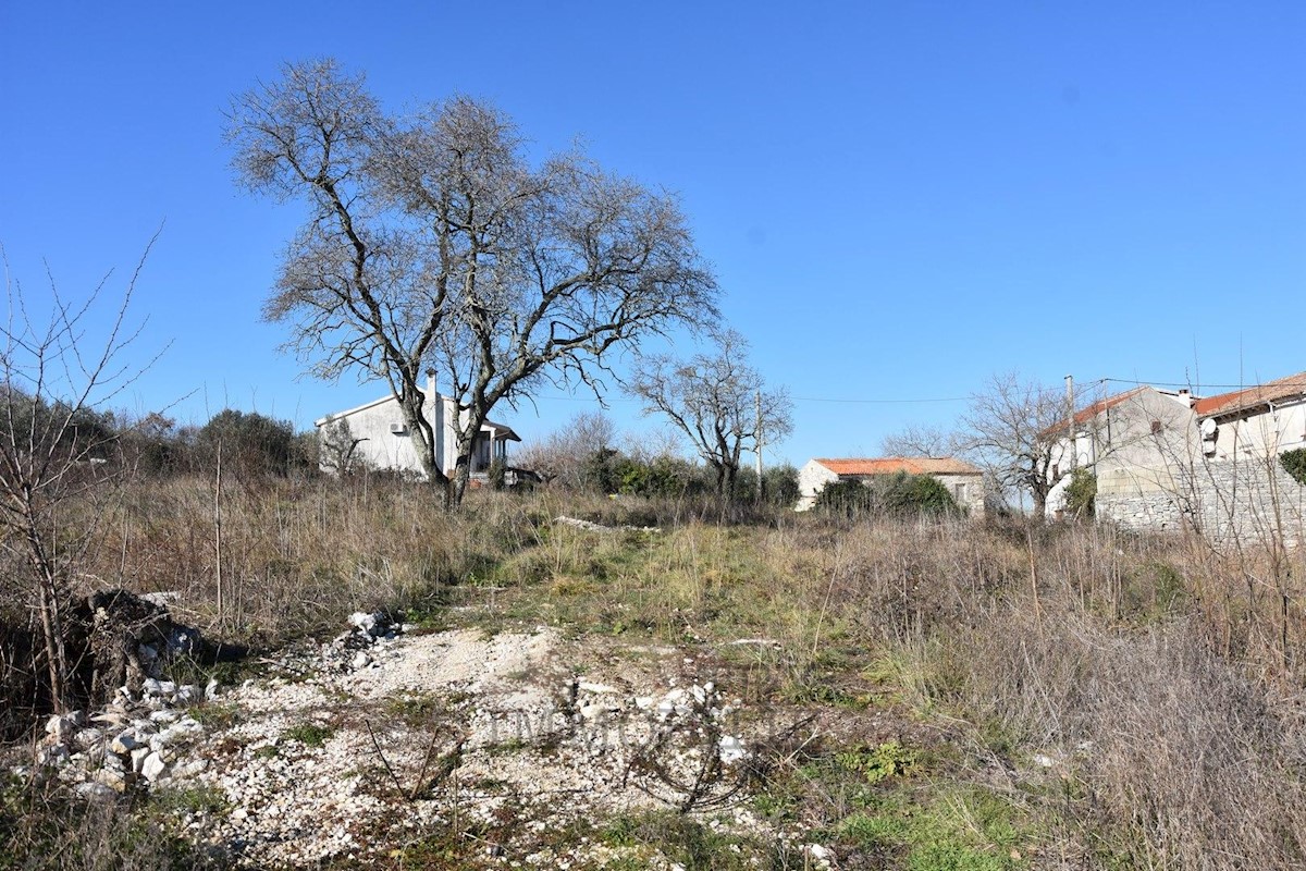 Land For sale - ISTARSKA SVETI LOVREČ