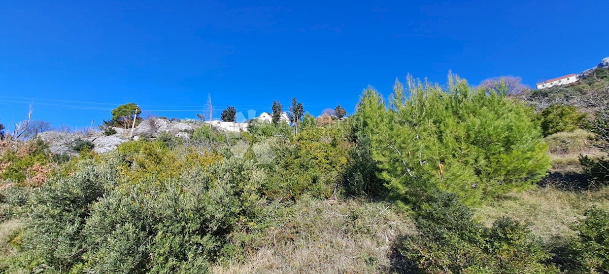 Land For sale - SPLITSKO-DALMATINSKA PODGORA