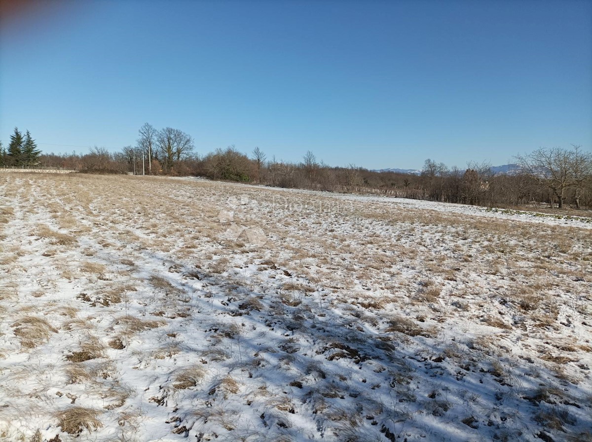 Pozemok Na predaj - ISTARSKA ŽMINJ