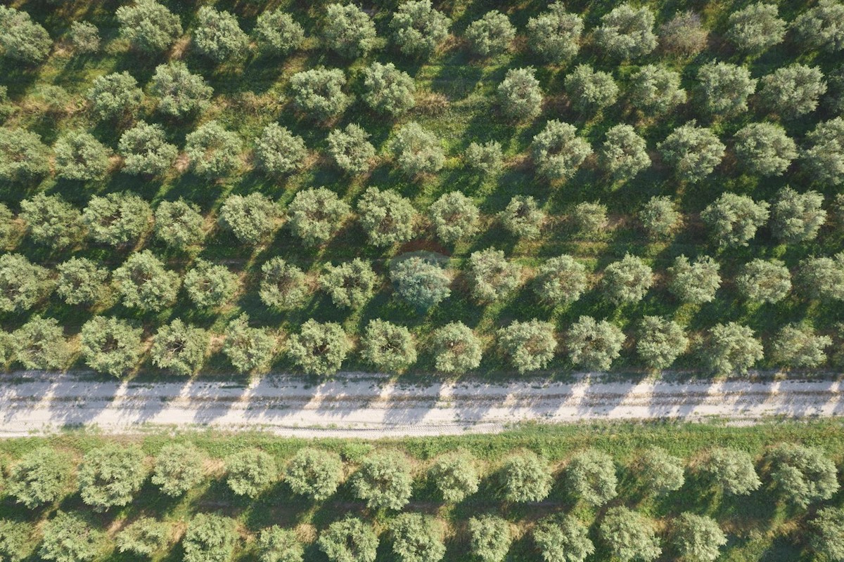 Zemljište Na prodaju - ISTARSKA KANFANAR