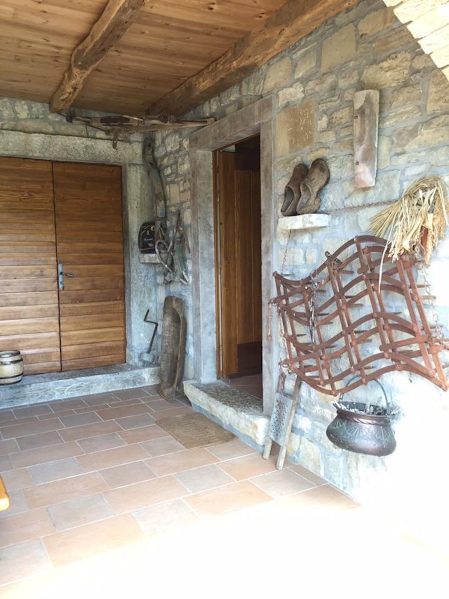 House For sale - ISTARSKA PAZIN