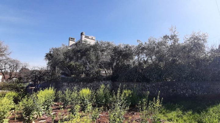 Haus Zu verkaufen - Primorsko-goranska Krk - foto 4/21