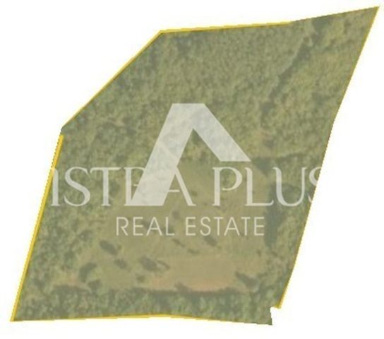 Parcela na predaj 20893 m² – Poreč