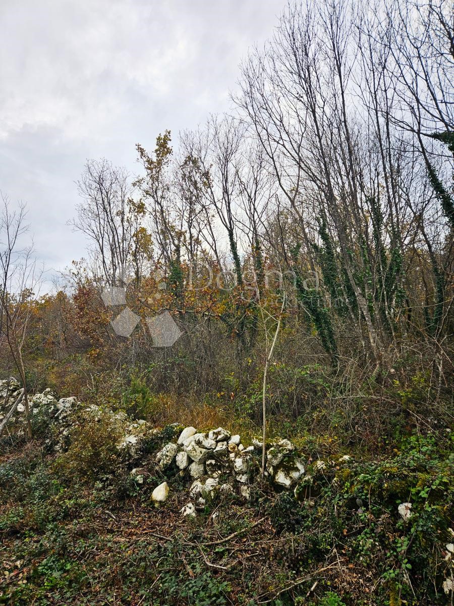 Zemljište Na prodaju - ISTARSKA PAZIN