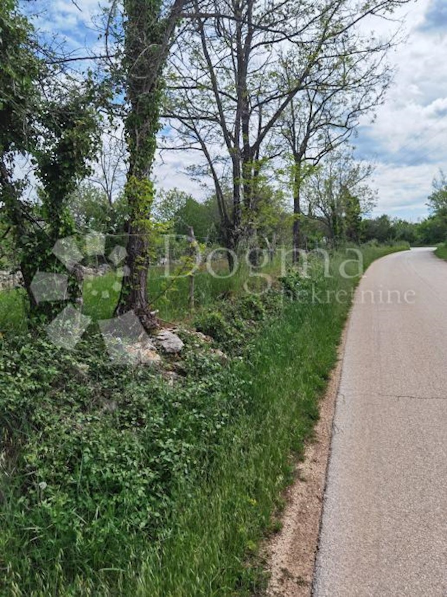 Land For sale - ISTARSKA VIŠNJAN