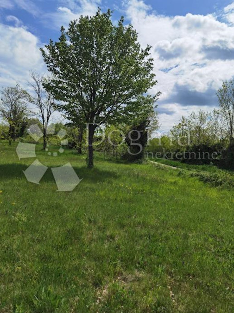 Land For sale - ISTARSKA VIŠNJAN