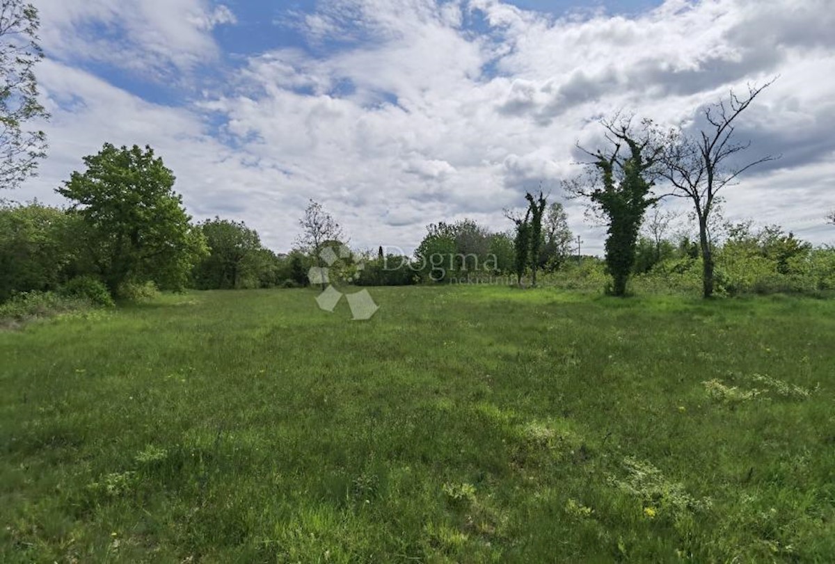 Land For sale - ISTARSKA VIŠNJAN